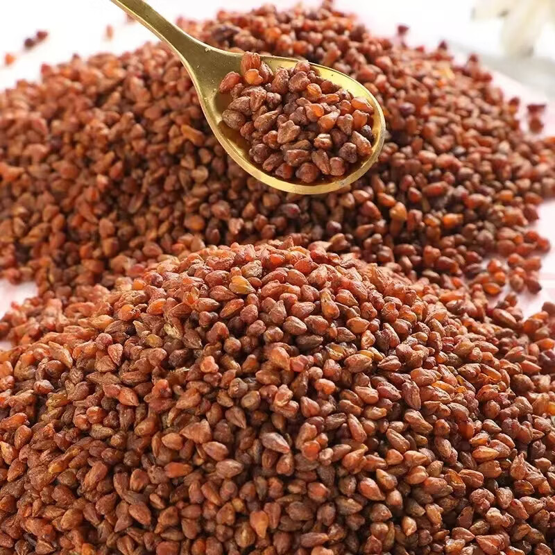 同仁堂（TRT）胖东来同款黑苦荞特级黑苦荞大凉山一等品正宗黑苦荞三高茶泡茶 黑苦荞1000克四罐装 250g*4罐