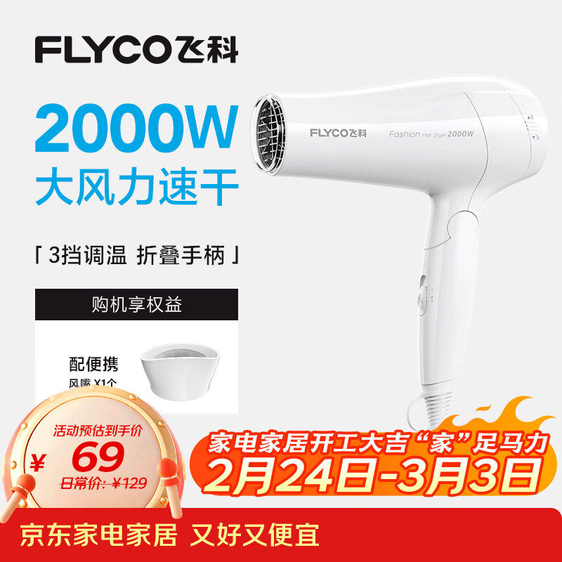 飞科（FLYCO）电吹风机家用发廊大功率2000W速干恒温便携可折叠白色FH6232