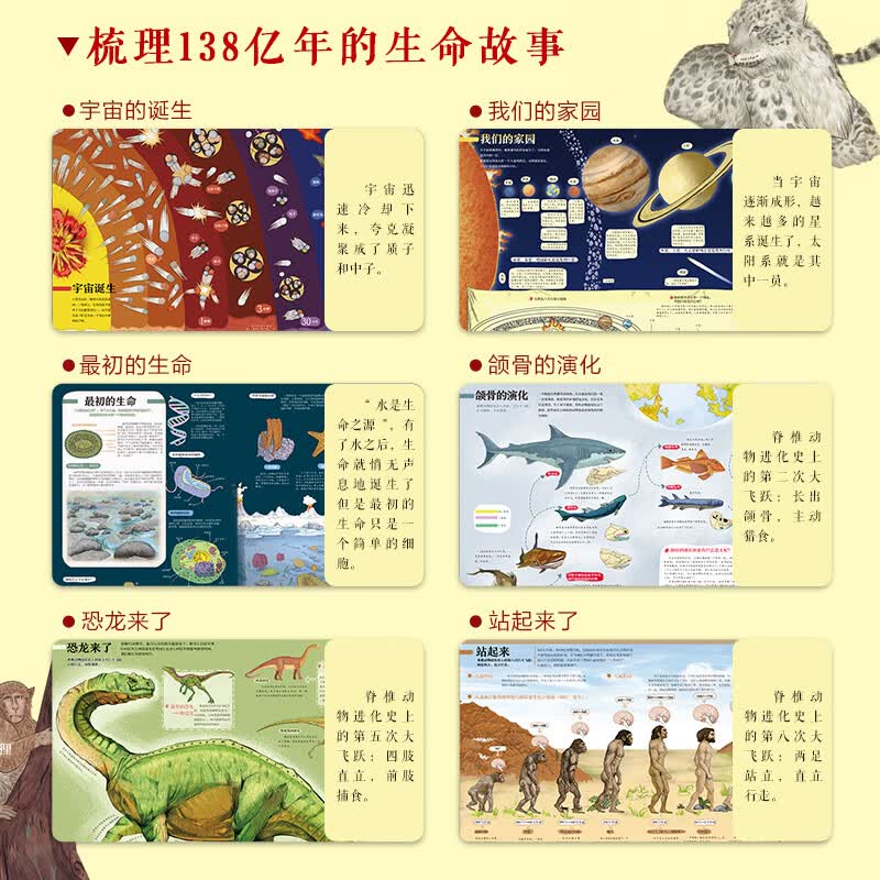 生命简史详情图