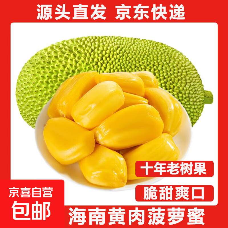 海南三亚黄肉菠萝蜜新鲜水果包邮当季现摘波罗一整个整箱当季包邮 15-20斤【生果勿切】