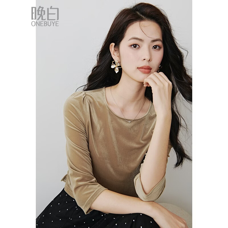晚白2026年春款复古美拉德丝绒圆领上衣弹力舒适宽松遮肉T恤衫女 浅咖色 L