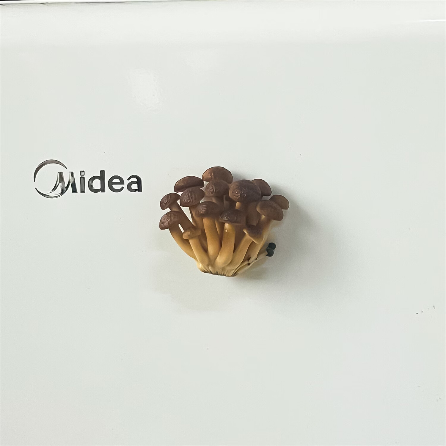 �������Ͼ�������������װ�����㹽�Ҿ�װ��Ʒ����ģ�ʹ��� �漧������