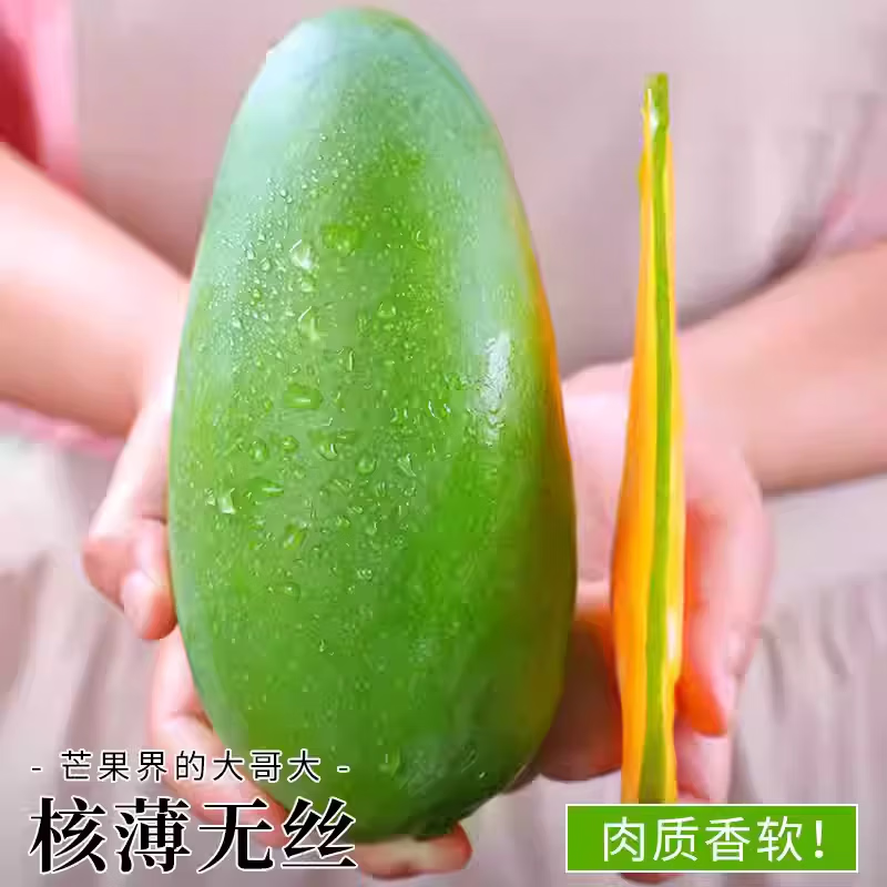 果领队正宗青皮金煌芒现摘青皮金煌【当天发货】甜心大芒果当季孕妇水果 5斤【单果250g+】净重4.5斤