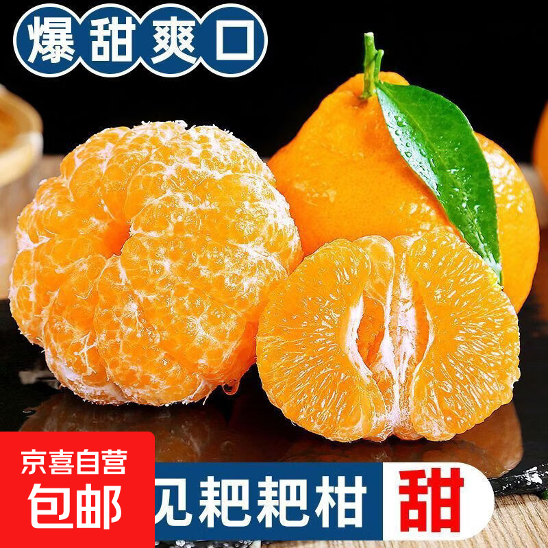 四川春见耙耙柑时令新鲜现摘水果酸甜爆汁当季正宗丑柑橘子 带箱5斤65mm-75mm净重4.5斤