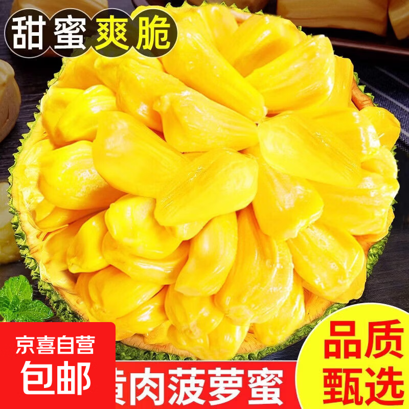 海南三亚黄肉菠萝蜜新鲜水果生鲜波罗蜜手撕特大果一整个京东快递 净重17-21斤【中果一人吃到爽】