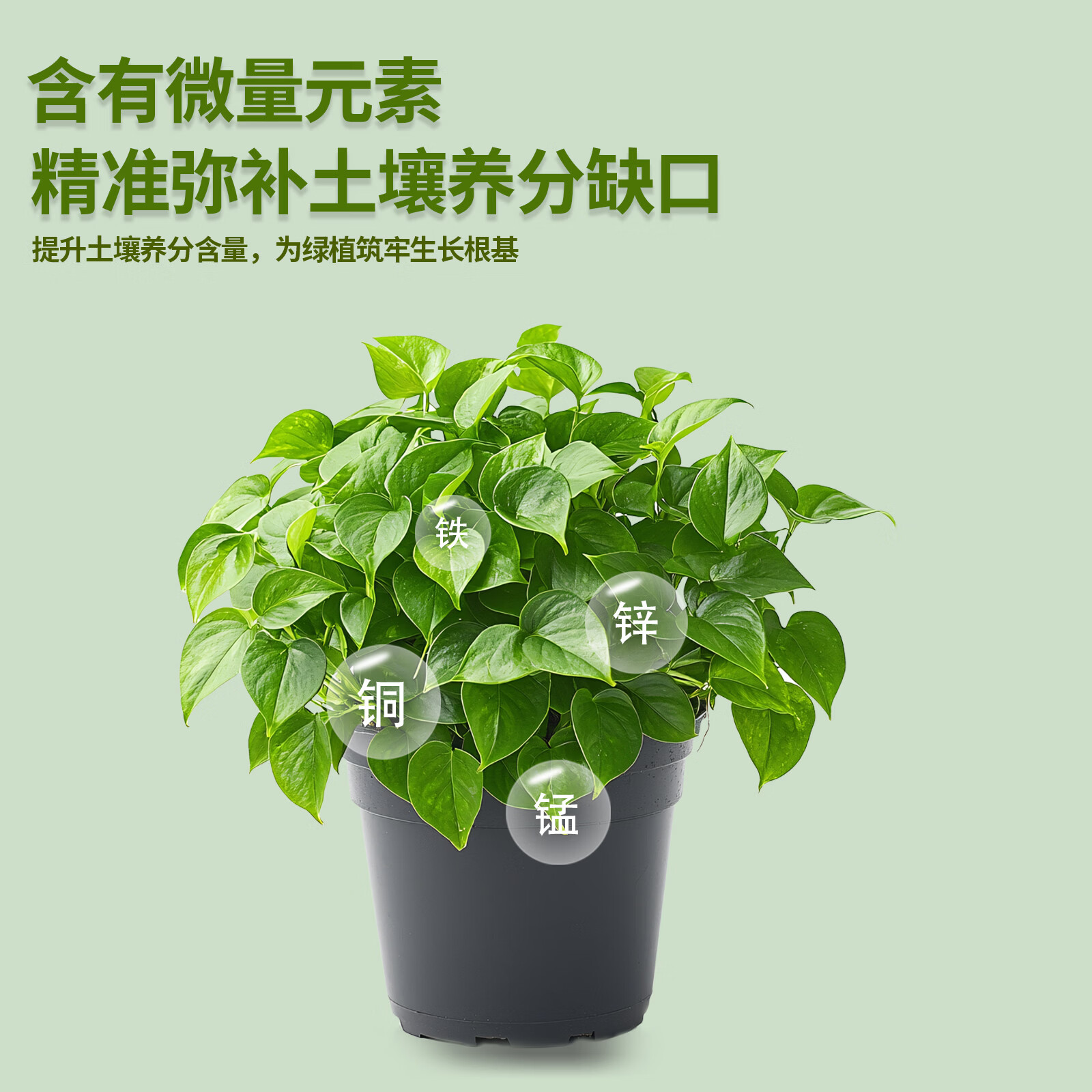 亮彩植物营养液通用型浓缩家用养花盆栽绿植花卉水培土培适用亮彩丁丁 通用型