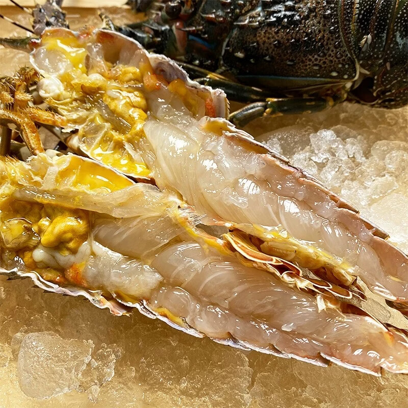 新鲜小青龙虾生冻鲜活冷冻冰鲜青龙肉质饱满澳洲特产小青龙非奥龙 迷你小青龙【20g/只】*1只