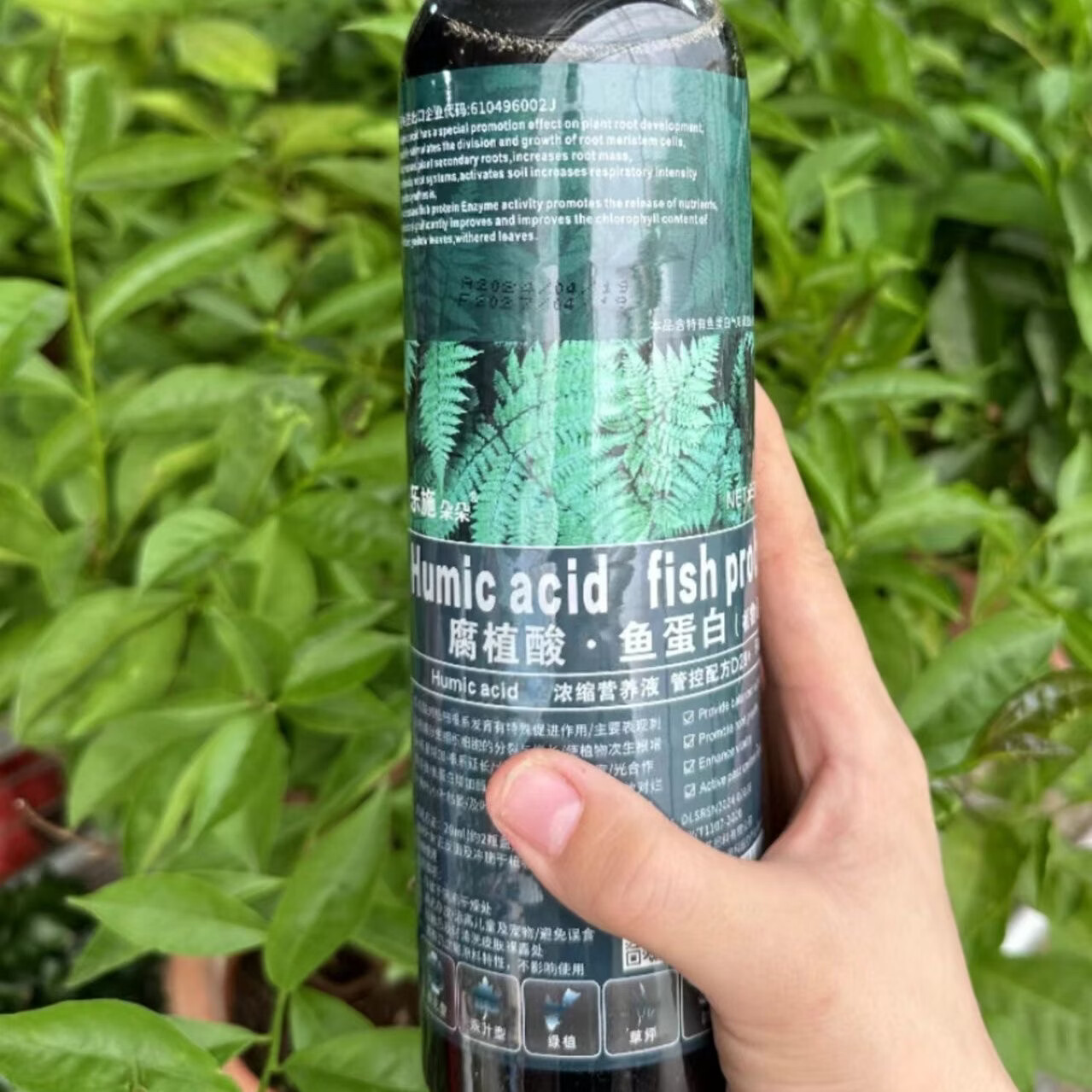 乐施朵朵 腐植酸植物花卉观叶液体花肥料通用发财树多肉绿萝浓缩营养液 3瓶鱼蛋白（每瓶650ml）