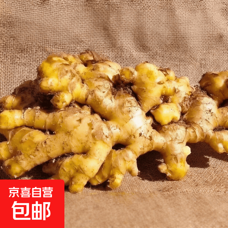 【热销】正宗山东鲜姜出土即发质量无忧品质在线鲜脆清辣 五斤【京东物流】