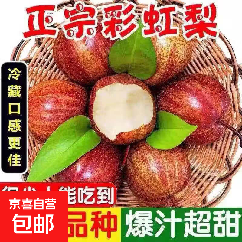 京喜加陕西水果彩虹梨清脆可口先天美味 山野沈阳发 净果约250g