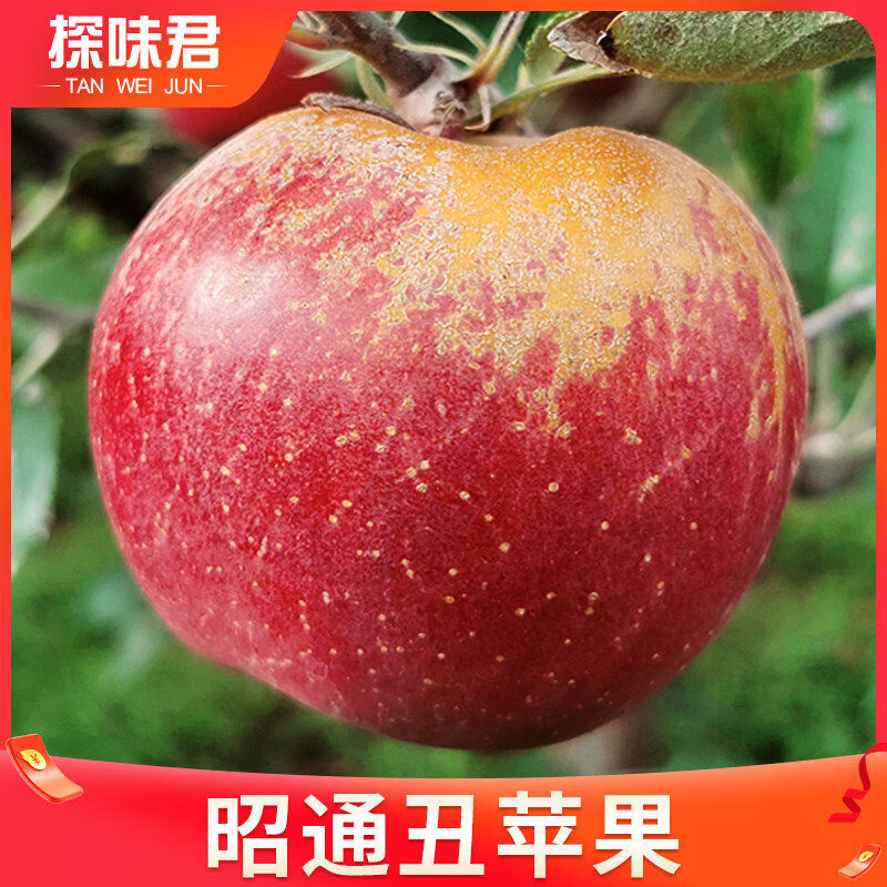 探味君云南昭通丑苹果10斤正宗冰糖心苹果应当季鲜水果红富士萍果整箱 3斤 65mm含70mm不含