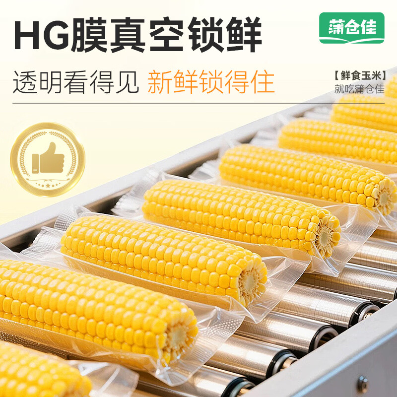 蒲仓佳东北黄甜糯玉米黏玉米 真空锁鲜软糯拉丝 粗粮主食早餐代餐 【家庭装】甜糯玉米4.2斤（7-10根）