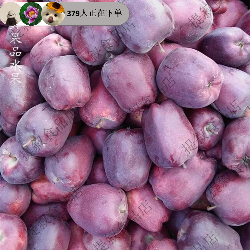 鲜甘肃水牛苹果元帅软糯沙粉面香甜红果蛇老人孕妇应季水果 4点5斤 70mm含75mm不含