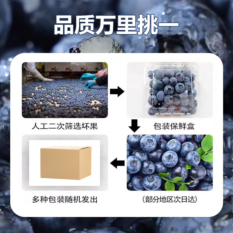 果食鲜丰四川高山蓝莓新鲜水果蓝莓整箱生鲜时令水果 8盒/单果【15-18mm】/800g