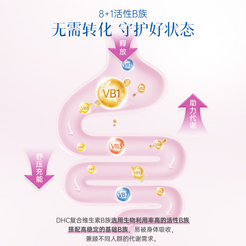 蝶翠诗(DHC)复合维生素b族片含8种b1b2b6b12高含量VB男女成人提升精力促代谢 120日周期装(高性价比)-复合维B片 60粒*4袋