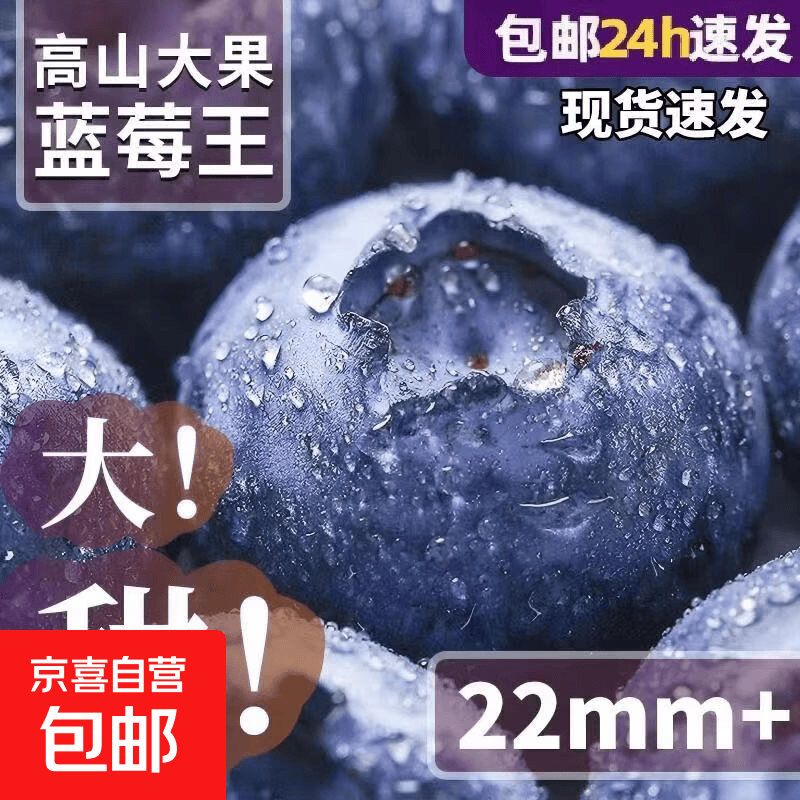 云南蓝莓100g×2盒 16.9元 - 86线报