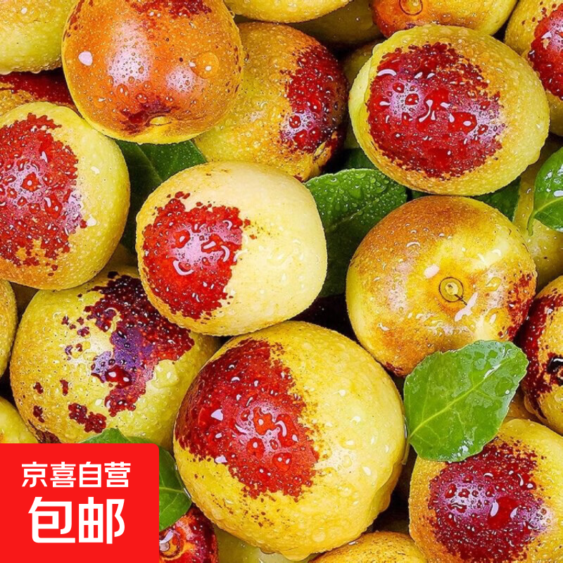 正宗脆甜大荔冬枣现摘现发 仅14.99元/4.5斤 当季应季水果 正宗脆甜大荔冬枣现摘现发 仅14.99元/4.5斤 当季应季水果