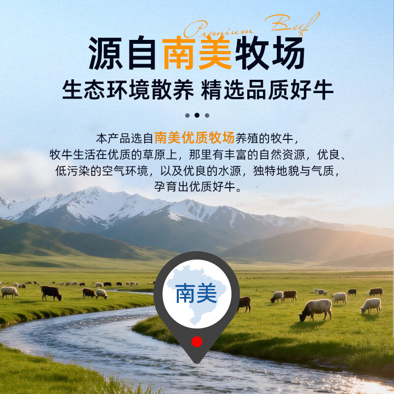 沃典原切进口牛肋排 带骨冷冻生鲜牛肉牛排 新鲜炖煮酱卤食材 原切牛肋排1kg*2