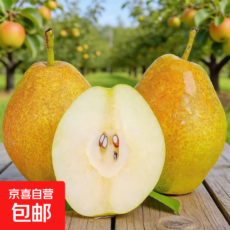 京喜加新鲜红香酥河北红香酥小香梨酥脆远达新11 红香酥带箱9斤大果净重8.2斤单果100g