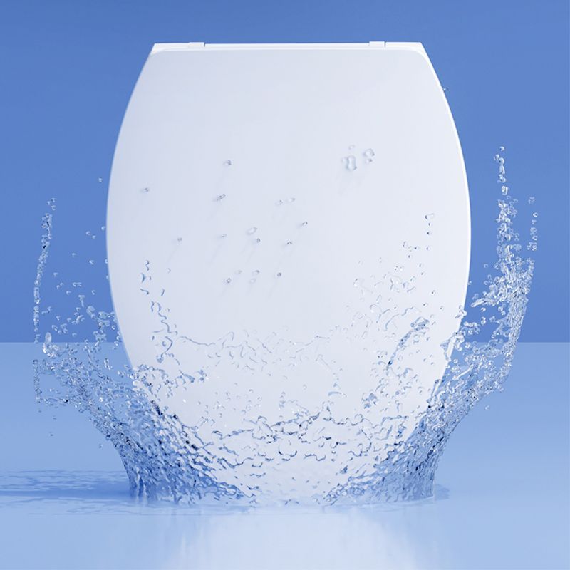 瑞尔特（R&T）马桶加热座圈垫通用自动电热智能马桶盖板即热型缓降闭盖UV型可选 B5100