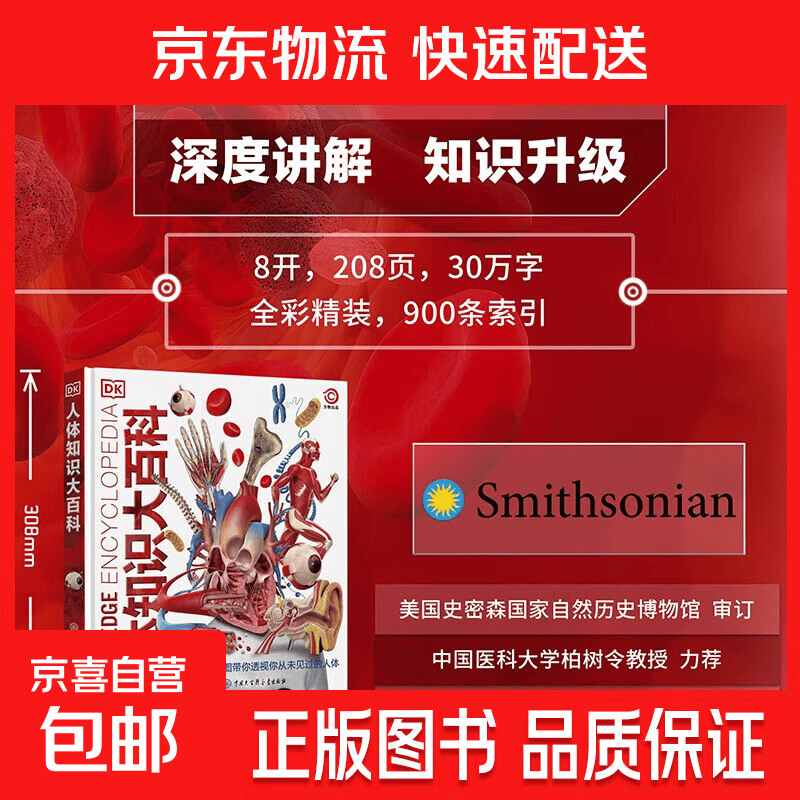 DK人体知识大百科 6-14岁 英国DK公司 著 科普百科