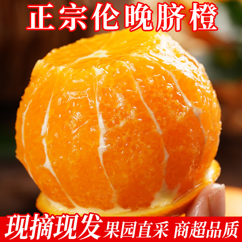 秭归伦晚春橙脐橙冰糖橙子果园直采精品当季新鲜水果大果破损包赔 果园直采-产地发货（果径70-75）净重9斤