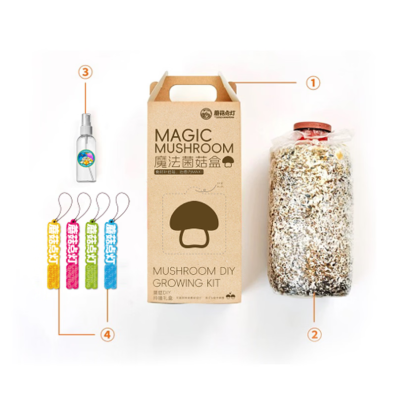 河南蘑菇点灯蘑菇种植包 儿童种植家庭种植 亲子趣味菌菇盲盒