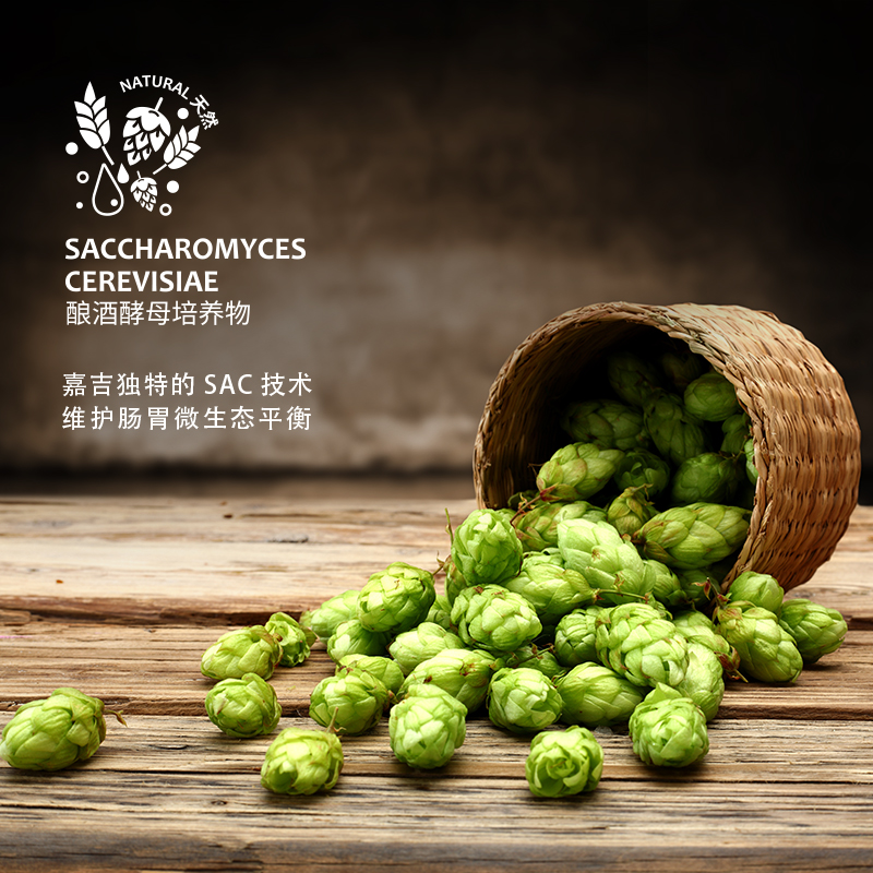 佩玛思特PetMaster天然狗粮三文鱼添加益生菌保护肠道全期通用犬粮10kg