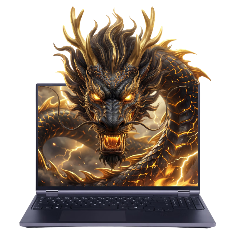 PLUS����е���� ����16 Pro ��Ϸ�� R9-9955HX 16G 1T RTX5060 2.5K 300Hz 7833.79Ԫ