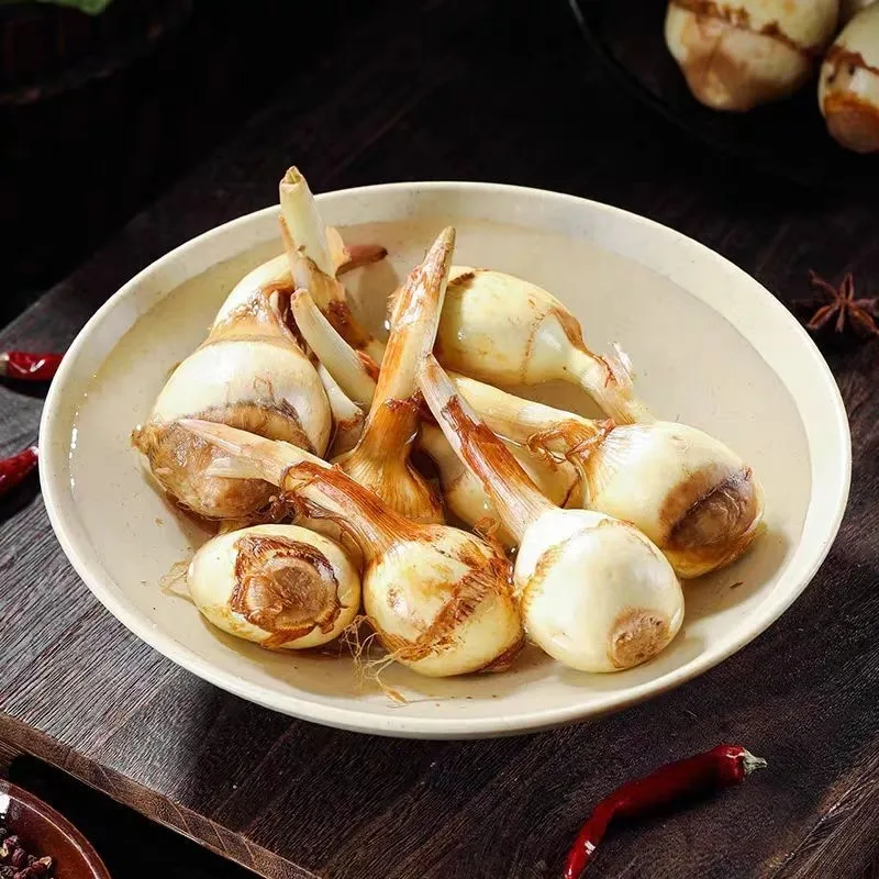 湖北特产慈姑新鲜现挖农家自种白茨菰马蹄大茨菇燕尾草芽菇 5斤