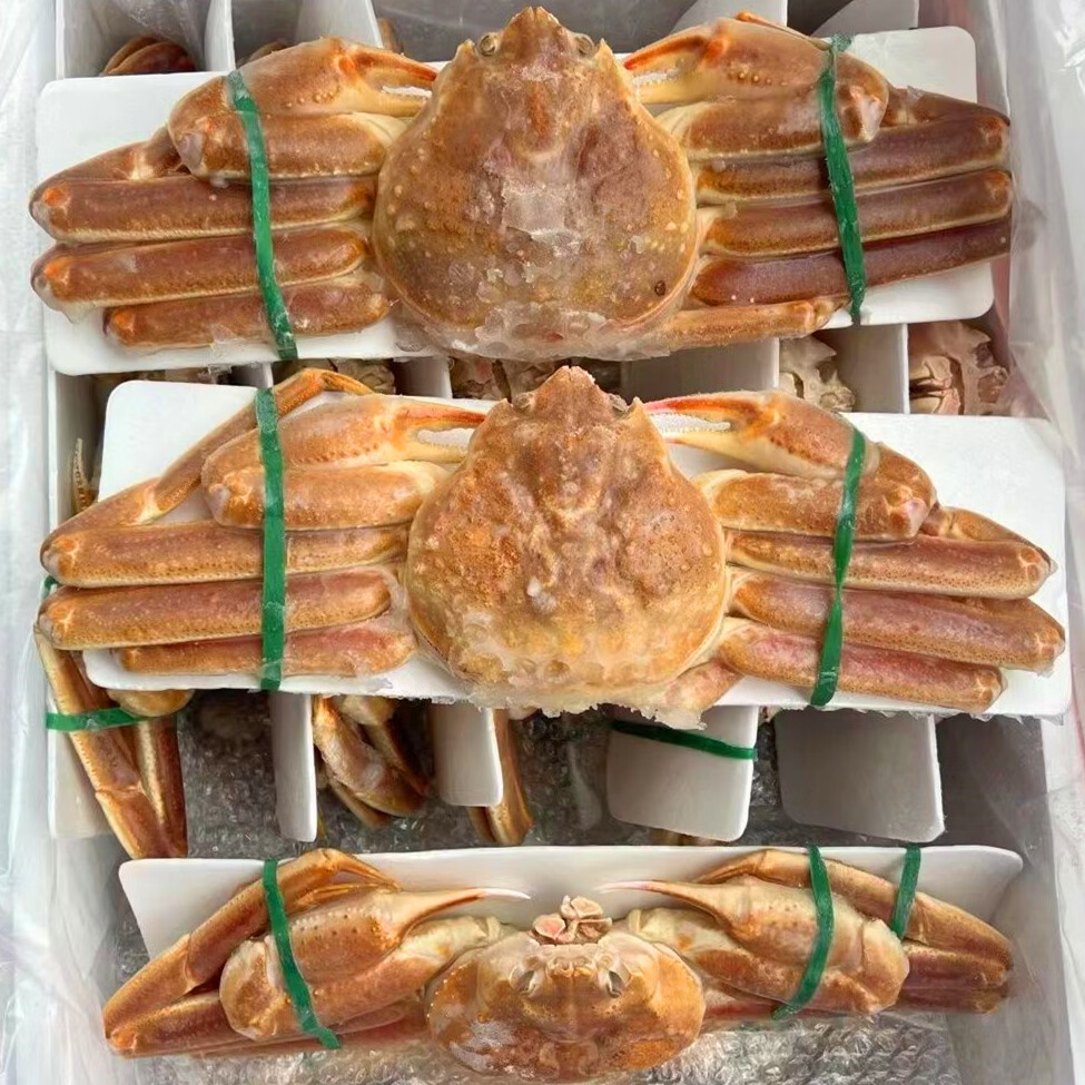 新鲜俄罗斯松叶蟹3斤长脚蟹板蟹雪蟹大帝王蟹活冷冻大面包蟹海鲜 老虎蟹【60-100g/只】*4只