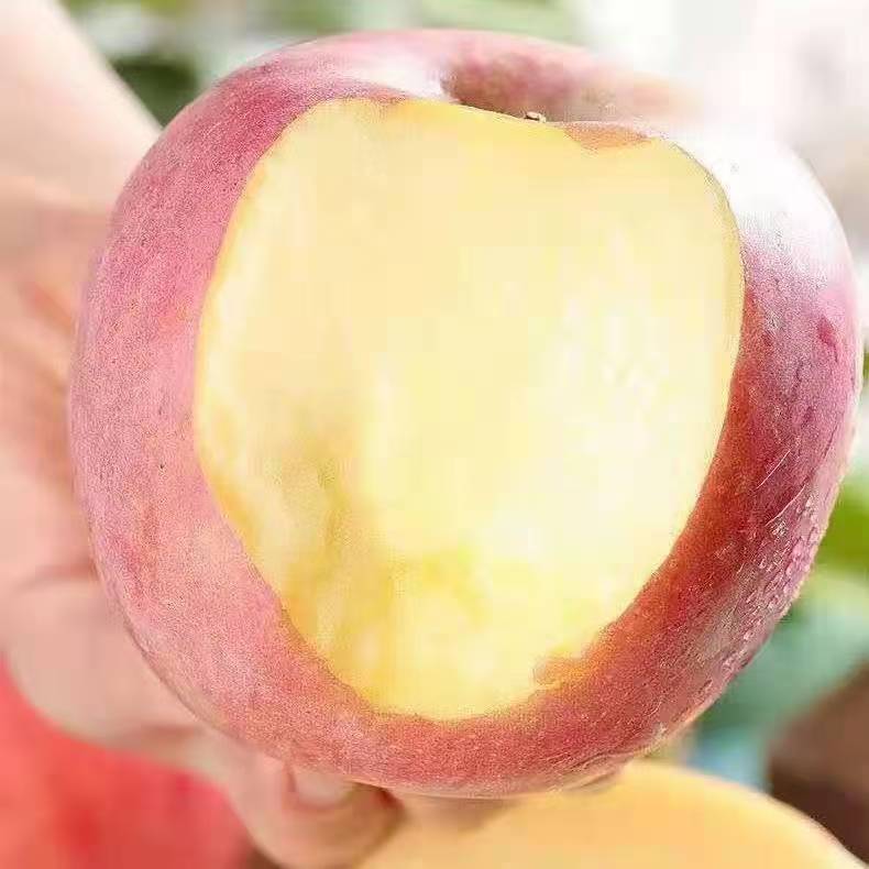 �����Ӿ�ѡ�����츻ʿƻ������2���ϲ�һ�䷢������������ˮ����ƻ�� ��ѡ�츻ʿƻ�� 4.5��װ���ش����/ 16.8Ԫ