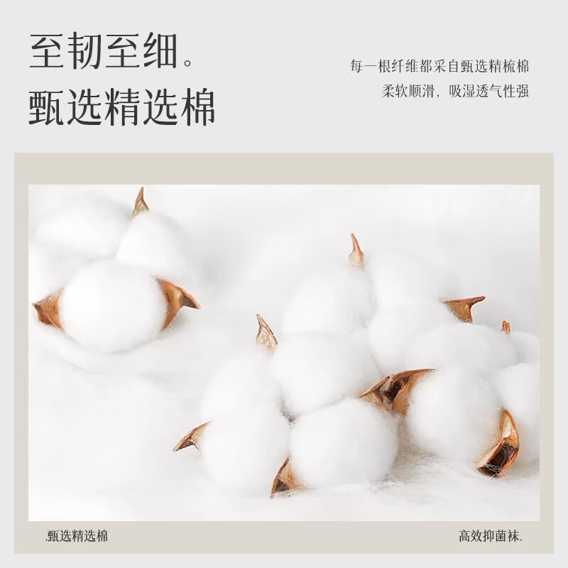 SALOATD夏季袜子男士船袜不掉跟纯棉防臭吸汗薄款青少年学生短袜隐形床袜 混色5双装 均码