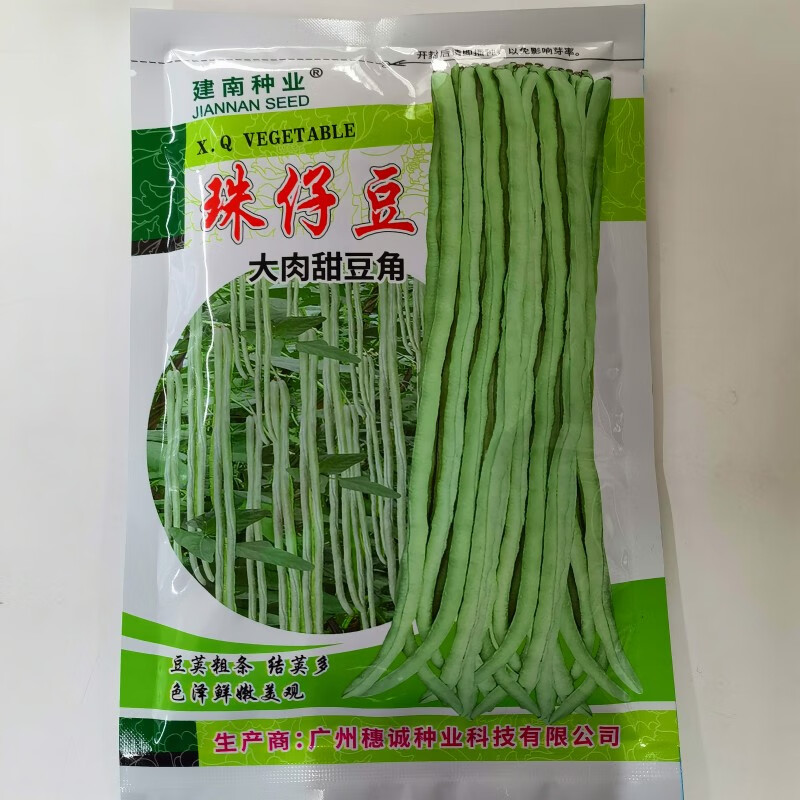 麦萱猪珠仔豆种籽农家八月豆种籽浅绿大肉甜豆角种孑春夏秋季蔬菜种子