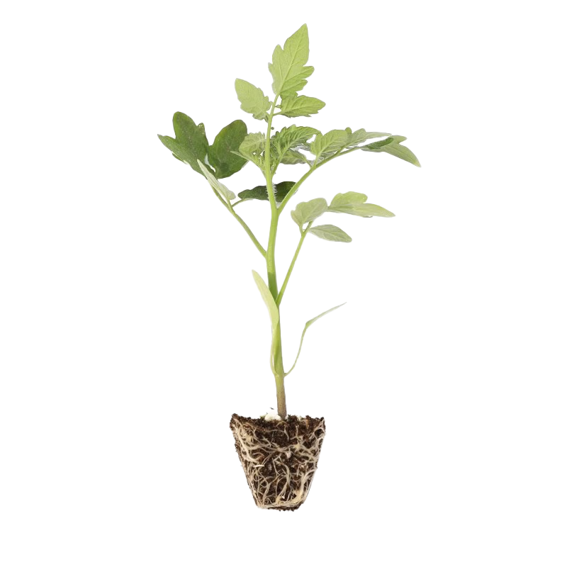 �ƹ���ˮ���ƹ�����̨���Իƹ������ļ�����޽Ӵ�С������������ ���ƹ���-����+�� 10����-����ֱ���ſž�ѡ 7.4Ԫ