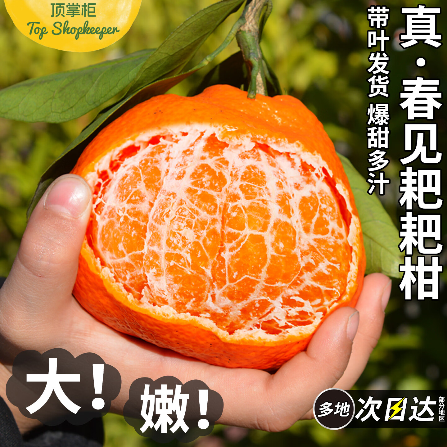 顶掌柜正宗9斤四川春见耙耙柑水果新鲜当季整箱丑八怪桔子粑粑柑甜包邮 9斤 80-85mm 老树特大果丨颗颗甄选,香甜爆汁