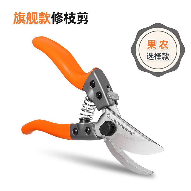 DEEPBANG園藝剪刀園林工具粗枝強(qiáng)力剪刀修枝剪修剪樹枝果樹剪德剪刀進(jìn)口 款修枝剪
