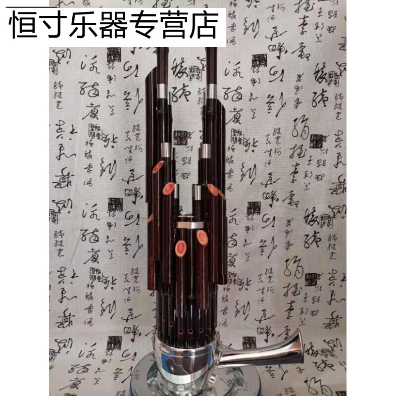 乐器定做定制厂家直销17簧扩音笙活盖笙斗142124 普通轻体盒装