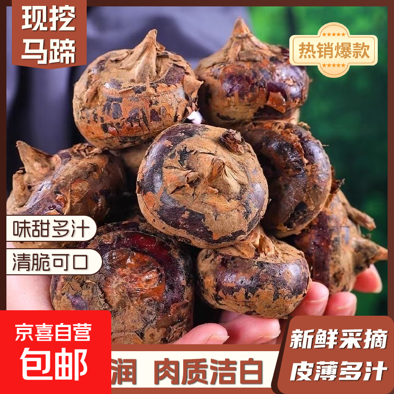 新鲜马蹄（荸荠biqi） 清甜脆口 应季果农家现挖现发 京东快递 带箱一斤