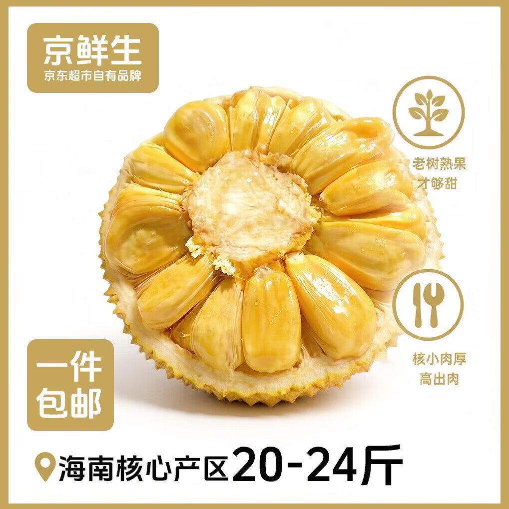 京鲜生海南老树菠萝蜜 20-24斤 净重20斤+  生鲜水果 源头直发