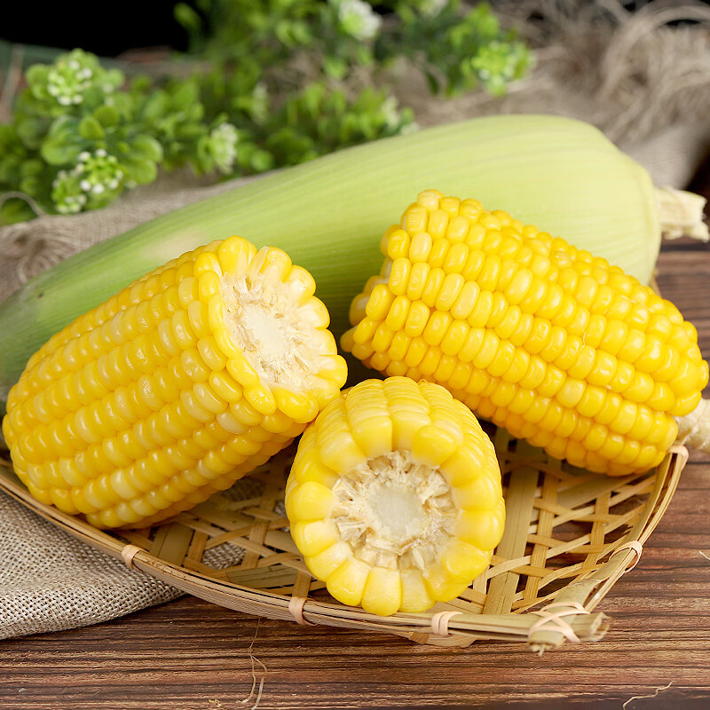 言片光云南水果玉米甜玉米新鲜采摘生玉米带壳玉米黄玉米 净重4.6+ 【约5-8根】 