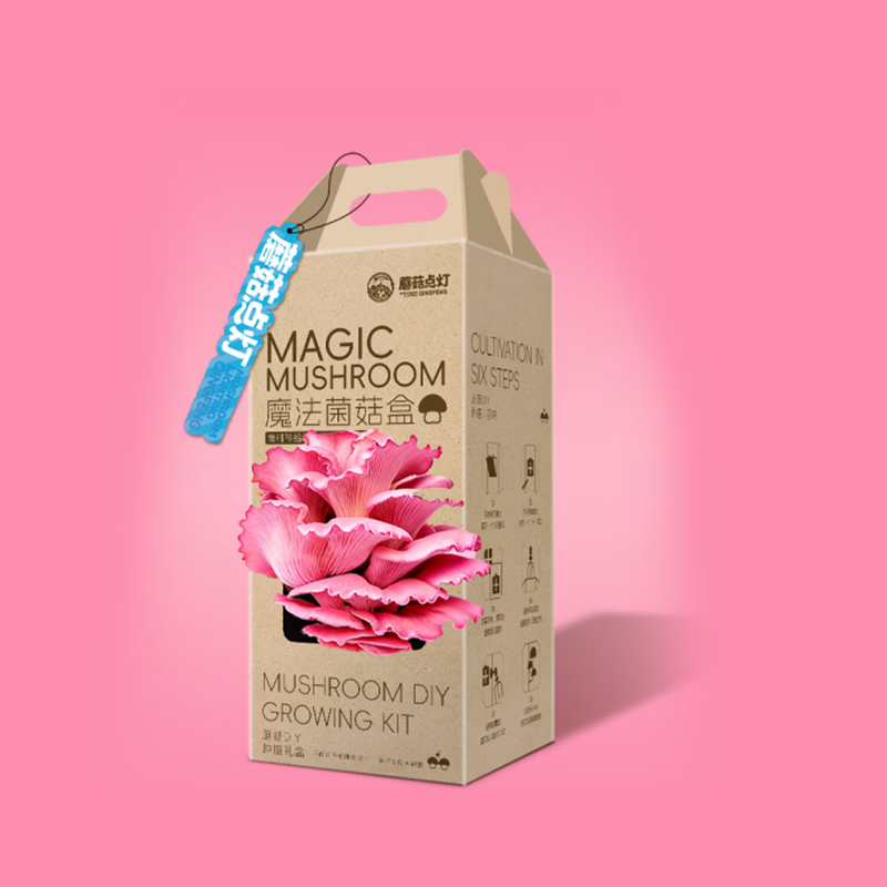 河南蘑菇点灯蘑菇种植包 儿童种植家庭种植 亲子趣味菌菇盲盒