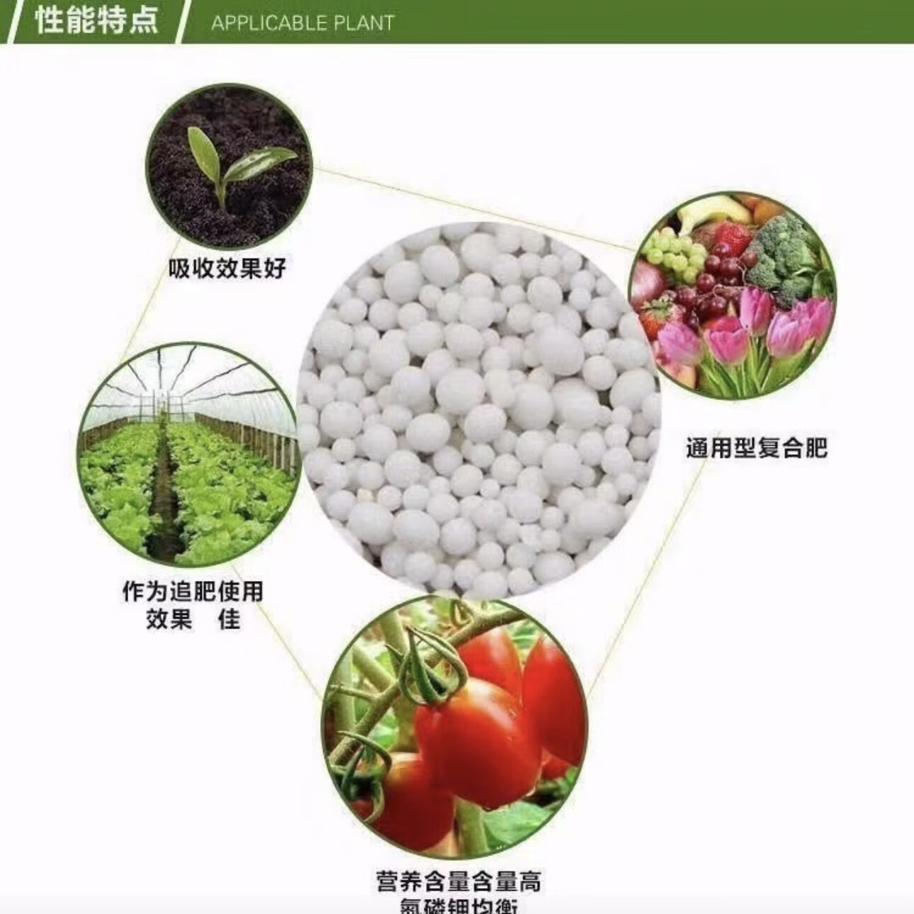 俄罗斯进口50斤有机肥复合肥硫酸钾肥蔬菜肥花肥料果树颗粒肥 【100斤硫酸钾】高效增收