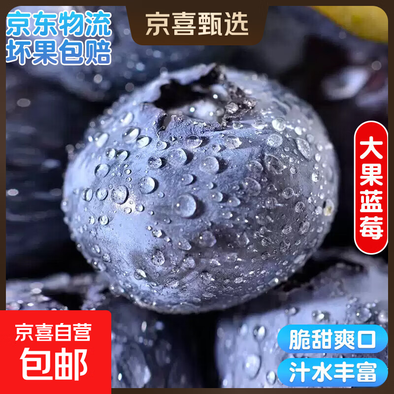云南国产蓝莓【多地次日达JD快递】超大果新鲜蓝莓 精选孕妇水果 4盒装 多买多划算【70-90g/盒】 中果【单果15mm+】