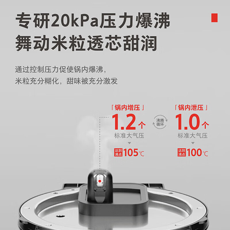 东芝（TOSHIBA）【官方旗舰店】电饭煲 【沁米炊】真空压力鲜饭煲3L家用4-5人 日本进口铜釜电饭锅   黑色 3L 【真空压力】锁鲜电饭煲RC-10ZWSC