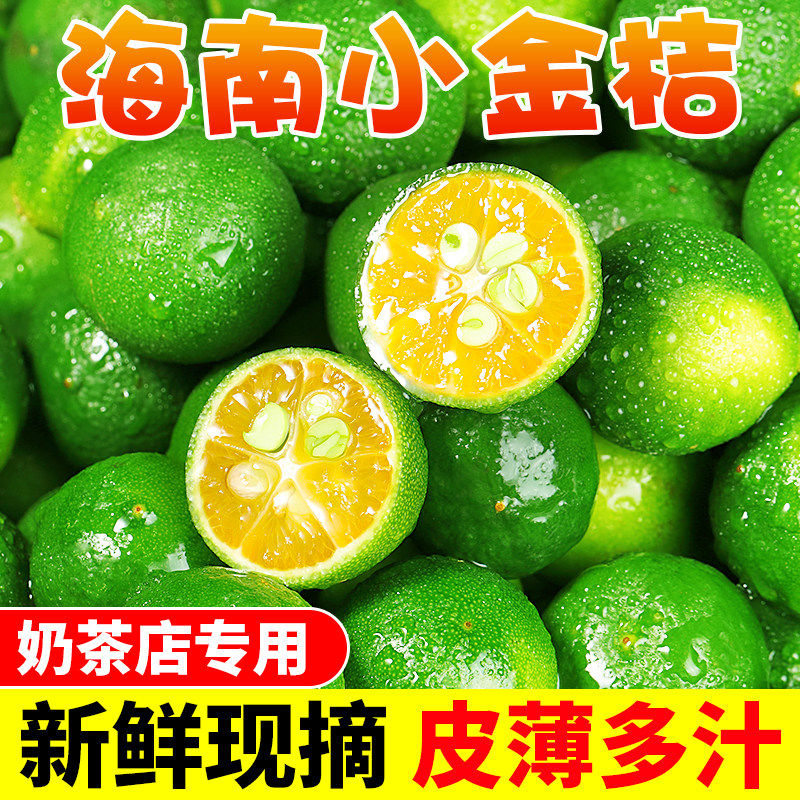 正宗海南小金桔鲜青金桔柠檬水果当季皮薄小青柠桔金橘奶茶专用 250g 510g一级果中小果