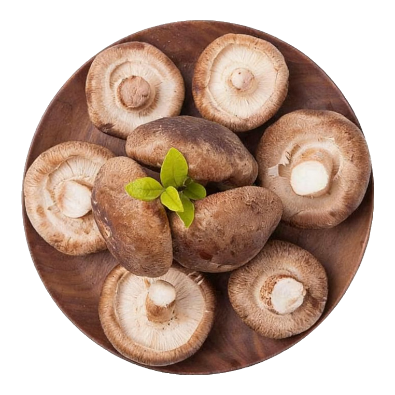 【东东买菜】新鲜香菇现摘现发基地直发火锅食材香菇炒肉均衡营养 500g