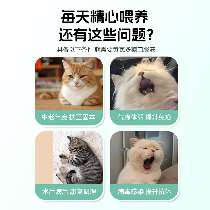 PEVET派维黄芪多糖口服液宠物增强免疫病后康复调理抗病毒调节疫苗伴侣 1盒*50ml【调节免疫】