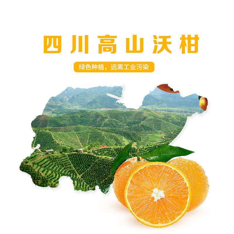 川家鲜四川高山沃柑 新鲜水果橘子礼盒爆甜沃柑  产地直发 尝鲜中果60mm+净果3斤