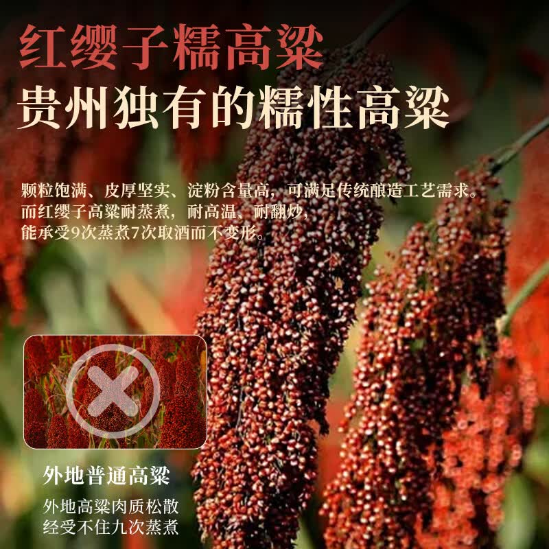 卧龙池酱香型白酒单瓶装 每滴6年以上窖藏 100%大曲坤沙纯粮食酱酒53度 53%vol 500mL 1瓶